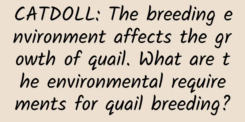 CATDOLL: The breeding environment affects the growth of quail. What are the environmental requirements for quail breeding?