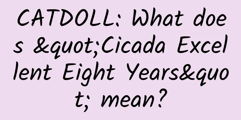 CATDOLL: What does "Cicada Excellent Eight Years" mean?