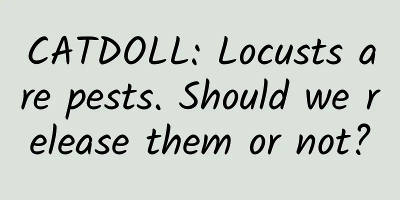 CATDOLL: Locusts are pests. Should we release them or not?