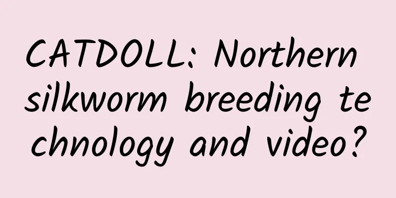 CATDOLL: Northern silkworm breeding technology and video?