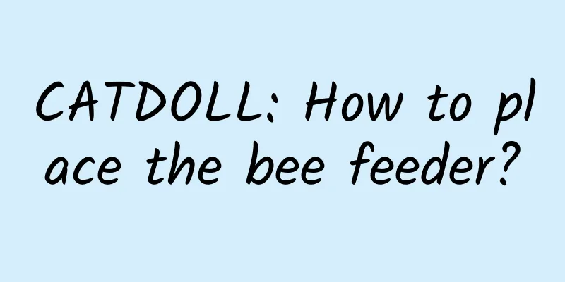 CATDOLL: How to place the bee feeder?