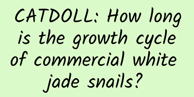 CATDOLL: How long is the growth cycle of commercial white jade snails?