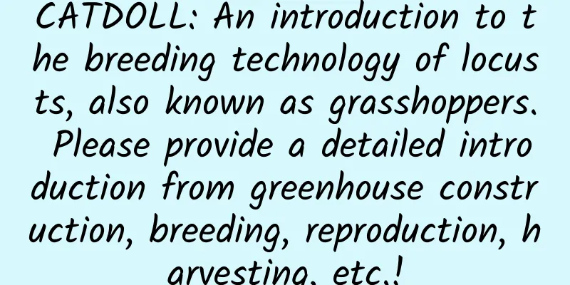 CATDOLL: An introduction to the breeding technology of locusts, also known as grasshoppers. Please provide a detailed introduction from greenhouse construction, breeding, reproduction, harvesting, etc.!