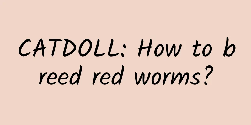 CATDOLL: How to breed red worms?