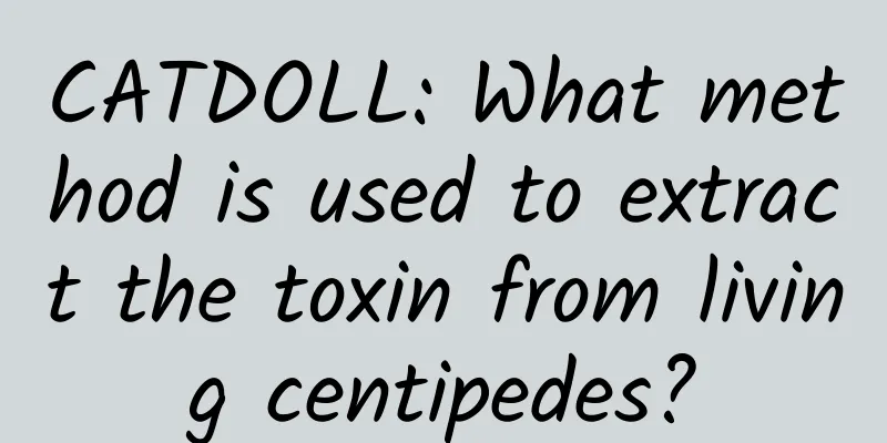 CATDOLL: What method is used to extract the toxin from living centipedes?