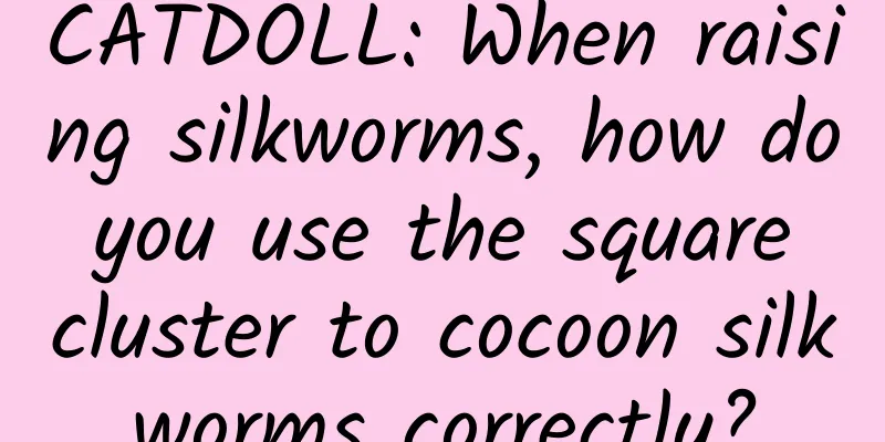 CATDOLL: When raising silkworms, how do you use the square cluster to cocoon silkworms correctly?