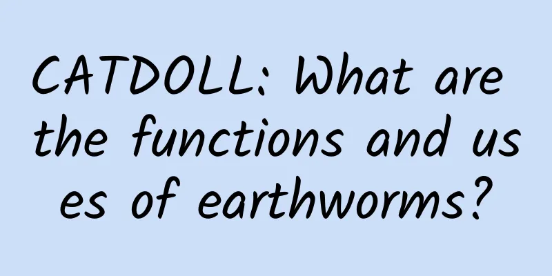 CATDOLL: What are the functions and uses of earthworms?
