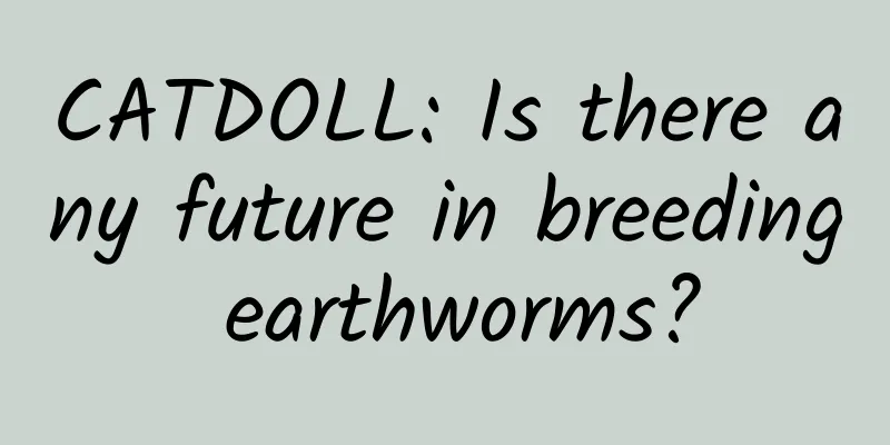 CATDOLL: Is there any future in breeding earthworms?
