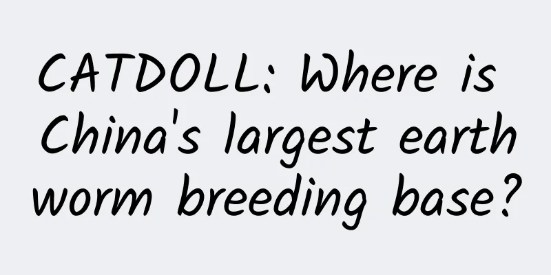 CATDOLL: Where is China's largest earthworm breeding base?