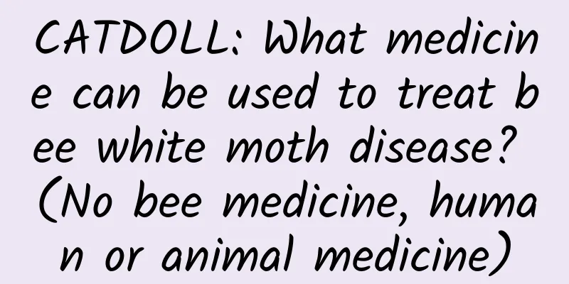 CATDOLL: What medicine can be used to treat bee white moth disease? (No bee medicine, human or animal medicine)