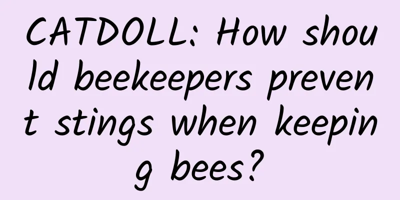 CATDOLL: How should beekeepers prevent stings when keeping bees?