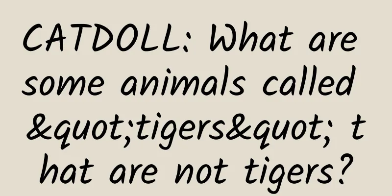 CATDOLL: What are some animals called "tigers" that are not tigers?