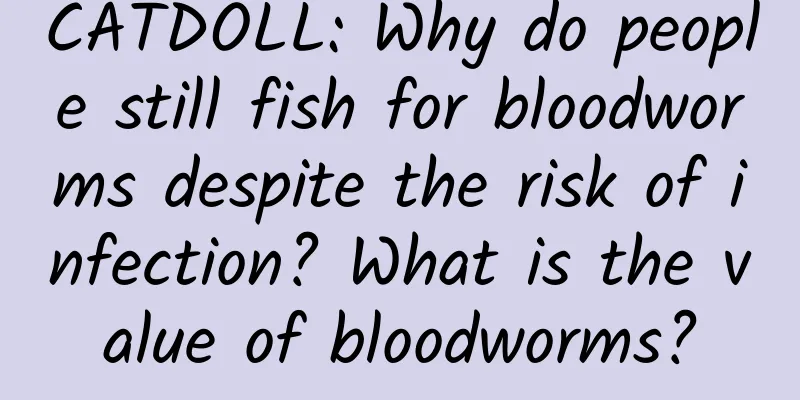 CATDOLL: Why do people still fish for bloodworms despite the risk of infection? What is the value of bloodworms?
