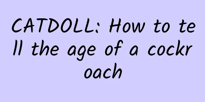 CATDOLL: How to tell the age of a cockroach