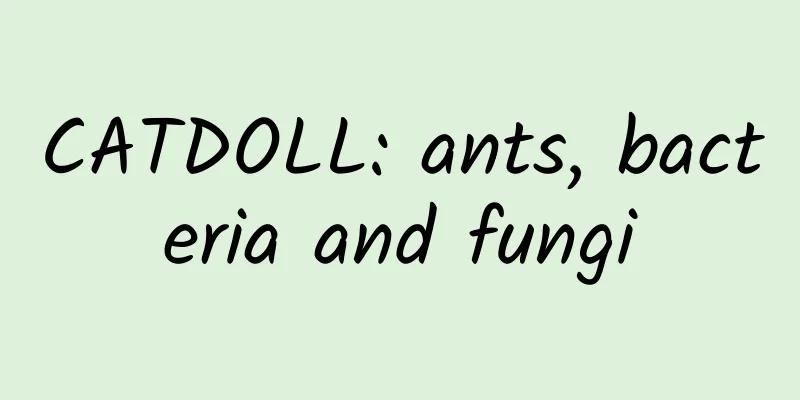 CATDOLL: ants, bacteria and fungi