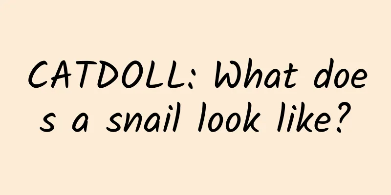 CATDOLL: What does a snail look like?