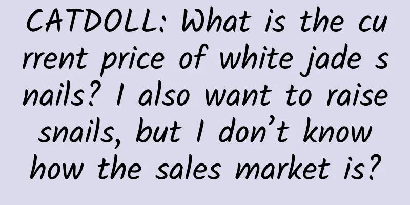 CATDOLL: What is the current price of white jade snails? I also want to raise snails, but I don’t know how the sales market is?