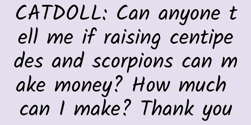 CATDOLL: Can anyone tell me if raising centipedes and scorpions can make money? How much can I make? Thank you