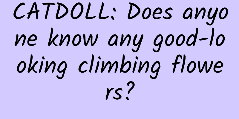 CATDOLL: Does anyone know any good-looking climbing flowers?