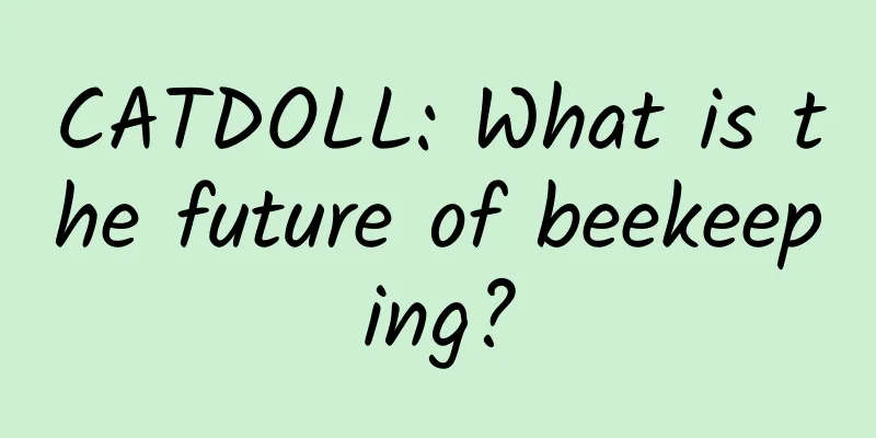 CATDOLL: What is the future of beekeeping?