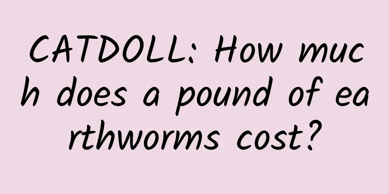 CATDOLL: How much does a pound of earthworms cost?