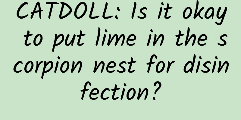 CATDOLL: Is it okay to put lime in the scorpion nest for disinfection?