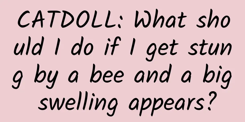 CATDOLL: What should I do if I get stung by a bee and a big swelling appears?