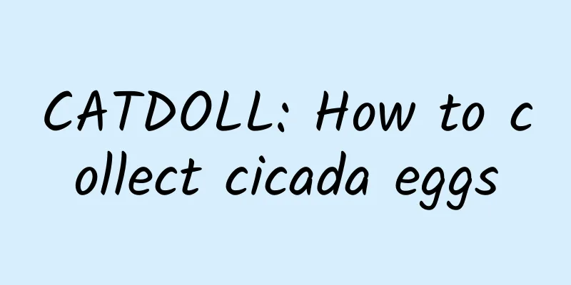 CATDOLL: How to collect cicada eggs