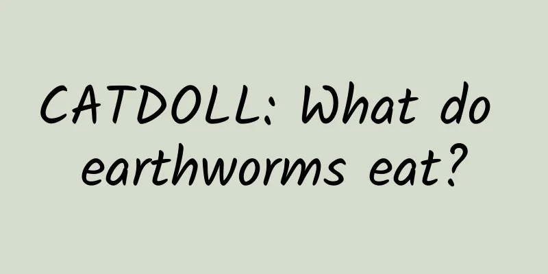 CATDOLL: What do earthworms eat?