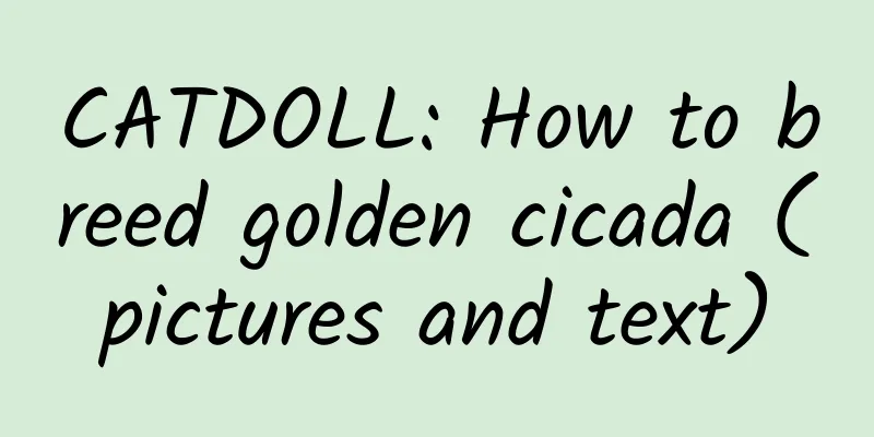 CATDOLL: How to breed golden cicada (pictures and text)