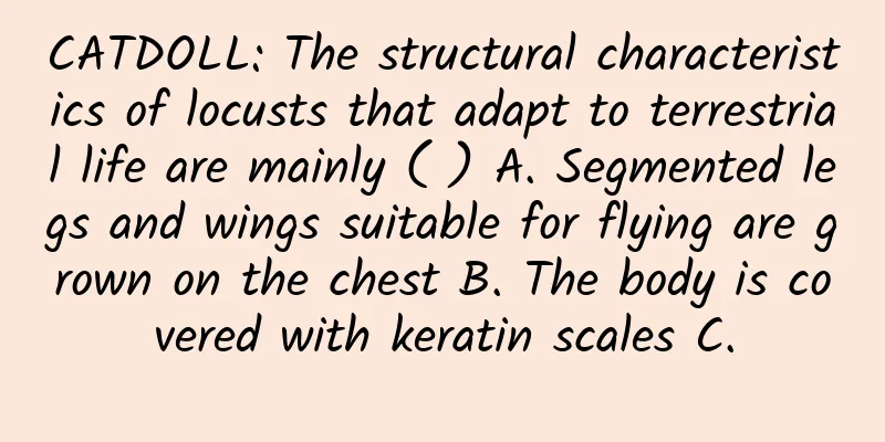 CATDOLL: The structural characteristics of locusts that adapt to terrestrial life are mainly ( ) A. Segmented legs and wings suitable for flying are grown on the chest B. The body is covered with keratin scales C.