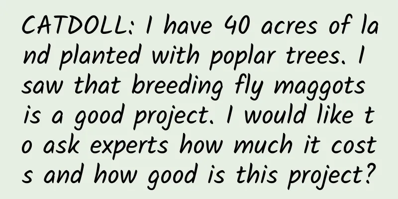 CATDOLL: I have 40 acres of land planted with poplar trees. I saw that breeding fly maggots is a good project. I would like to ask experts how much it costs and how good is this project?