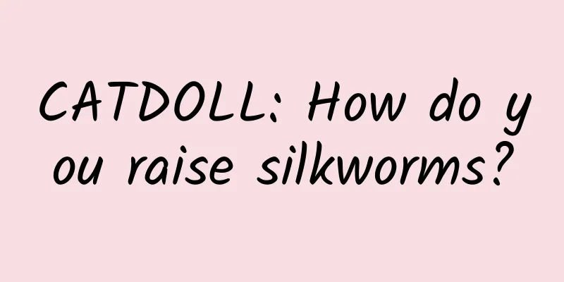 CATDOLL: How do you raise silkworms?