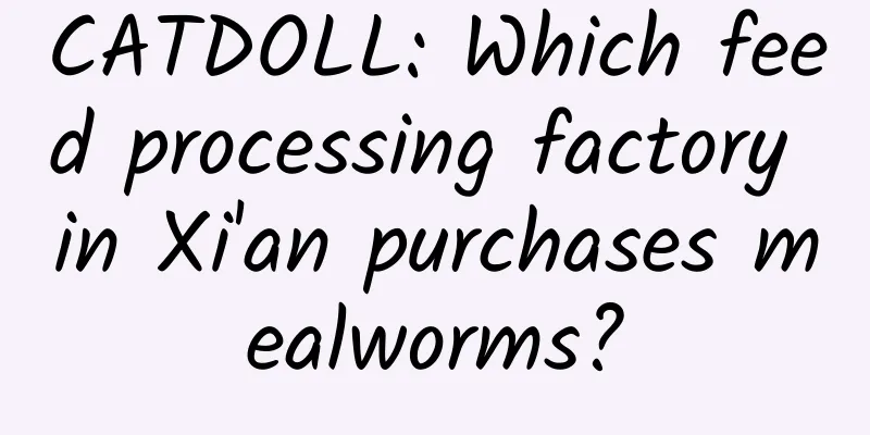 CATDOLL: Which feed processing factory in Xi'an purchases mealworms?
