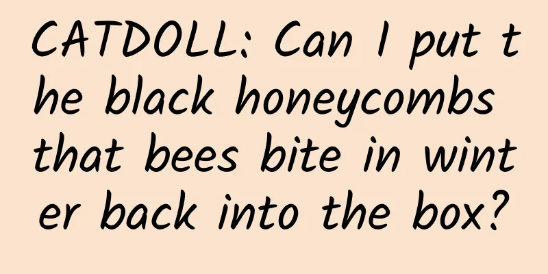 CATDOLL: Can I put the black honeycombs that bees bite in winter back into the box?