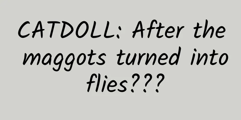 CATDOLL: After the maggots turned into flies???