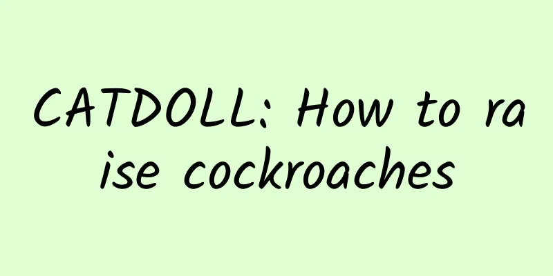 CATDOLL: How to raise cockroaches