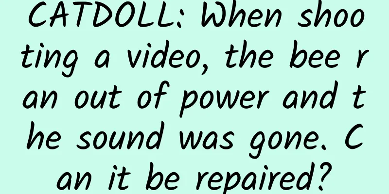 CATDOLL: When shooting a video, the bee ran out of power and the sound was gone. Can it be repaired?