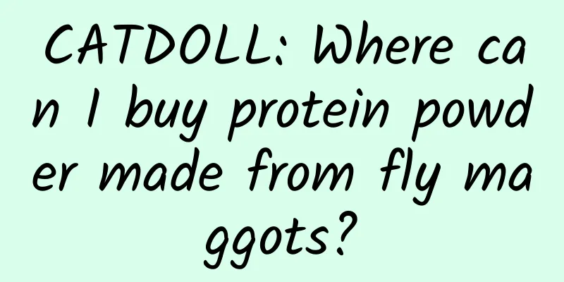 CATDOLL: Where can I buy protein powder made from fly maggots?