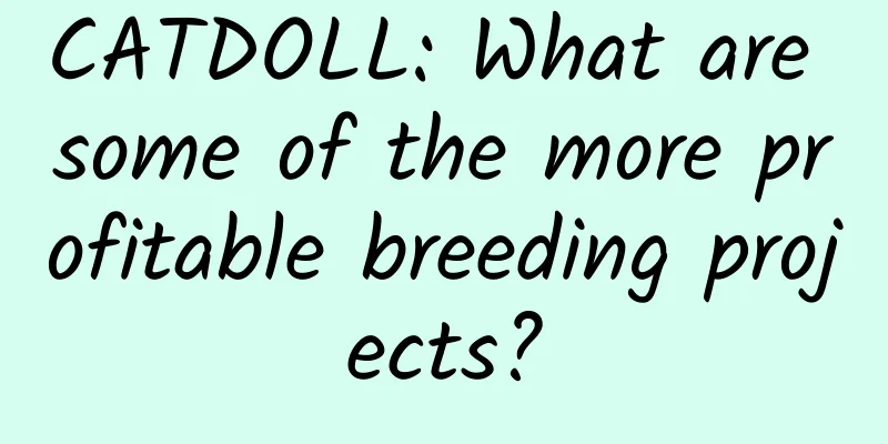 CATDOLL: What are some of the more profitable breeding projects?