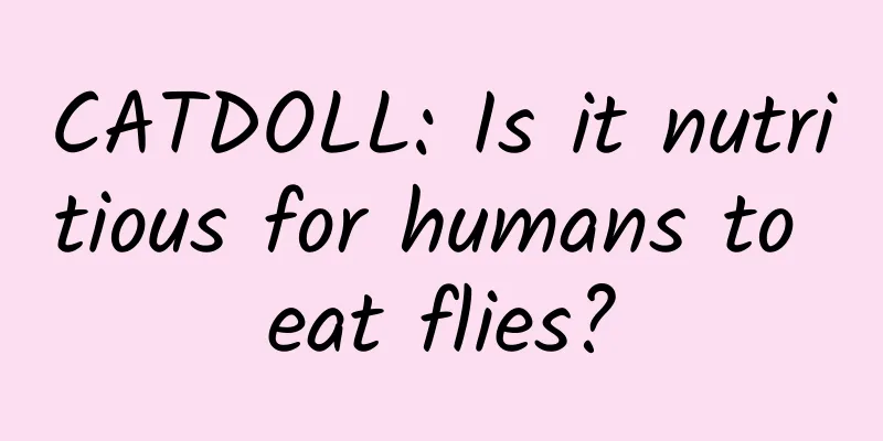 CATDOLL: Is it nutritious for humans to eat flies?