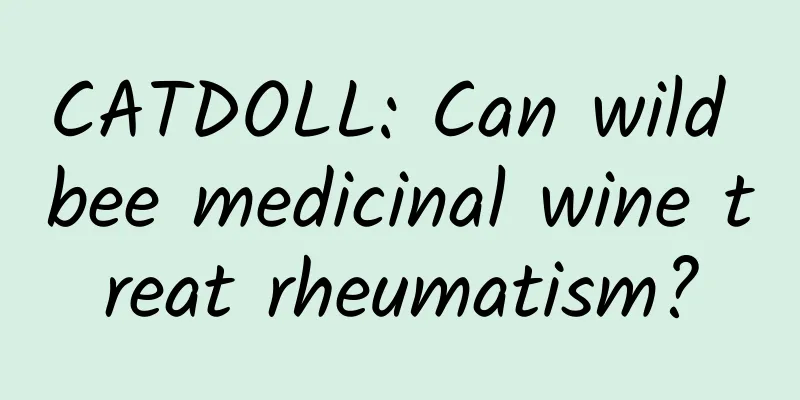 CATDOLL: Can wild bee medicinal wine treat rheumatism?