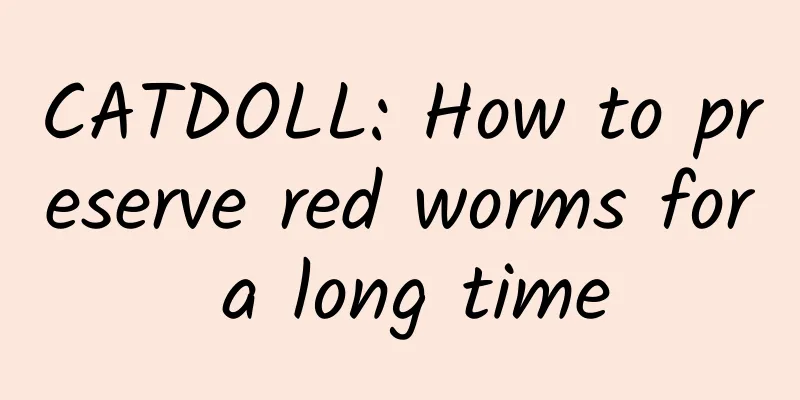 CATDOLL: How to preserve red worms for a long time