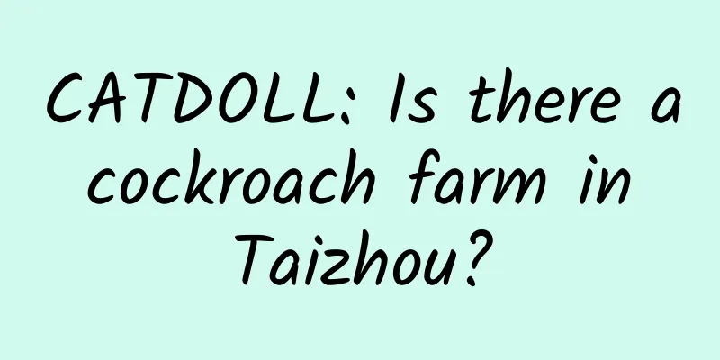 CATDOLL: Is there a cockroach farm in Taizhou?