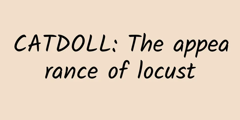 CATDOLL: The appearance of locust