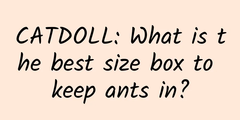 CATDOLL: What is the best size box to keep ants in?