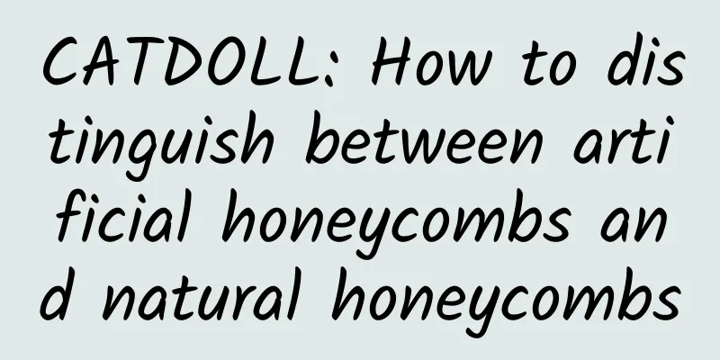 CATDOLL: How to distinguish between artificial honeycombs and natural honeycombs
