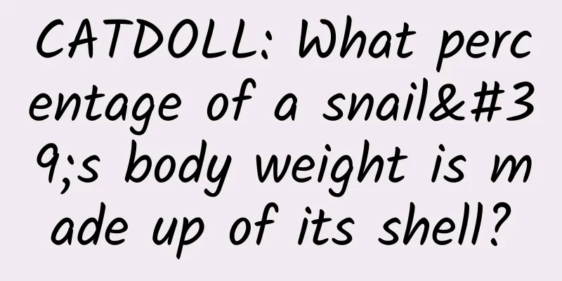 CATDOLL: What percentage of a snail's body weight is made up of its shell?