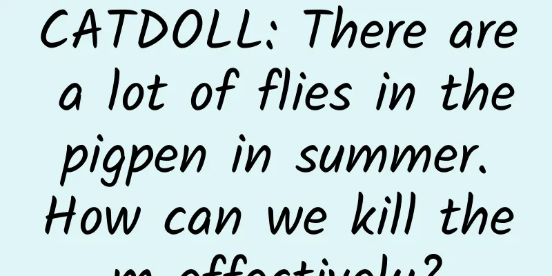 CATDOLL: There are a lot of flies in the pigpen in summer. How can we kill them effectively?
