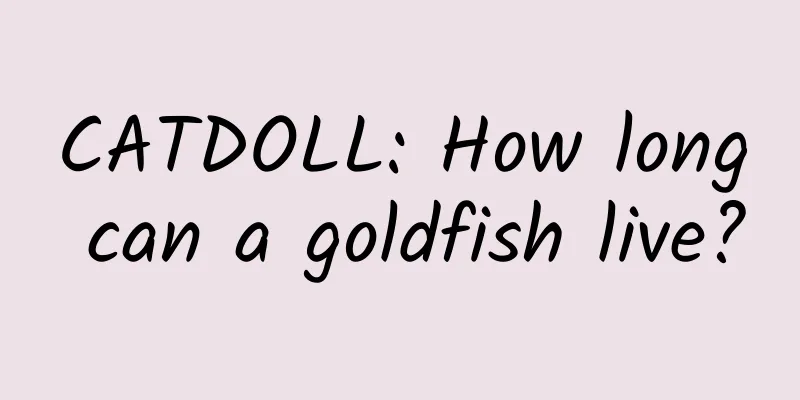 CATDOLL: How long can a goldfish live?